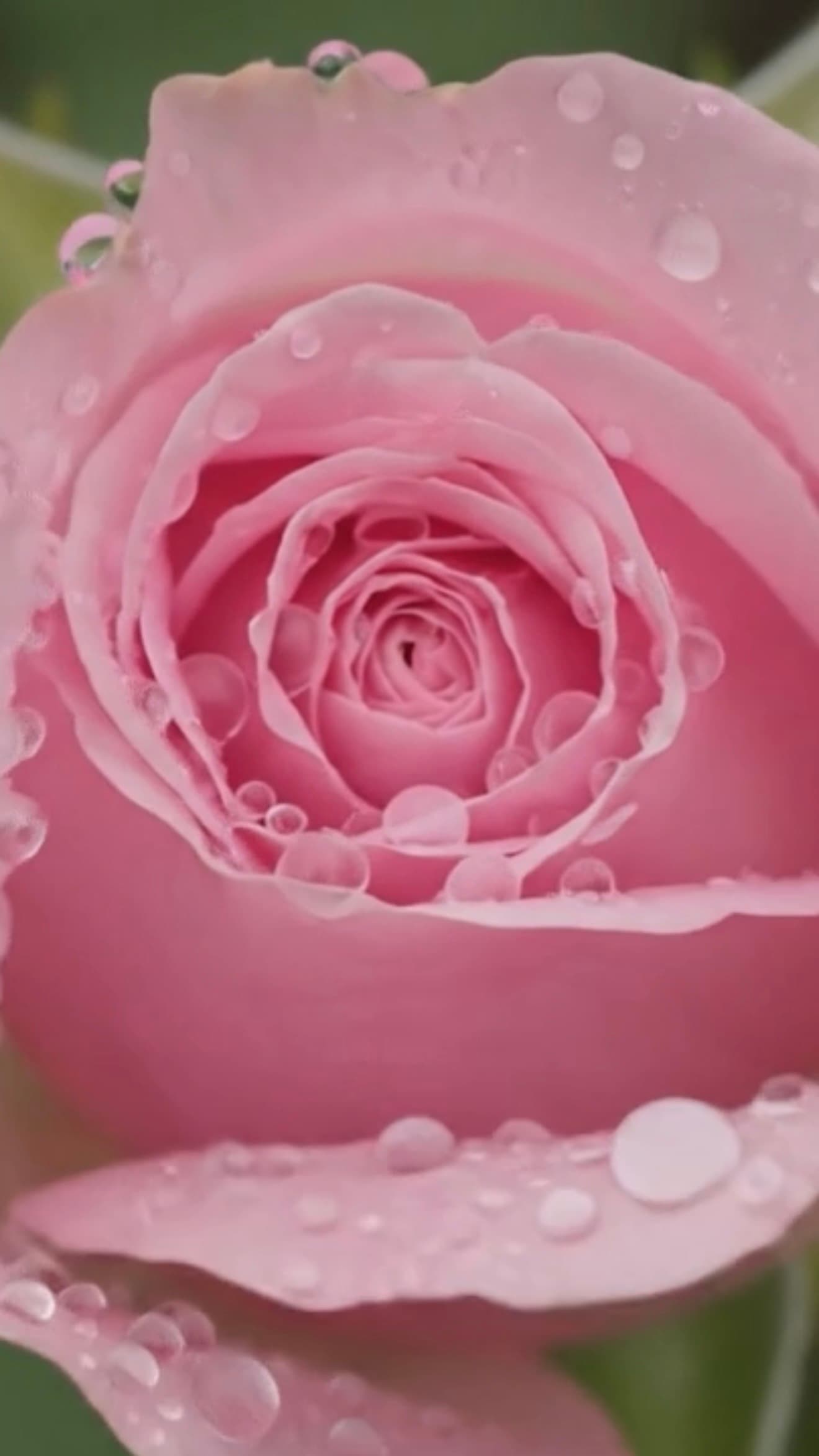 Lithoramica Background